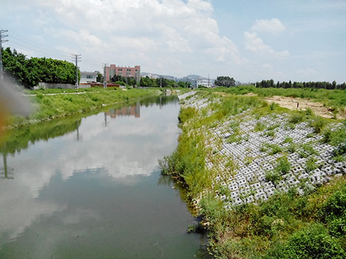 河涌护坡