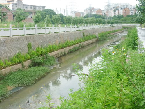 生态护坡